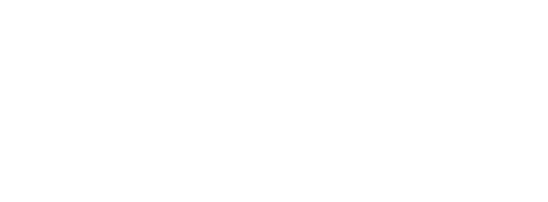 logo-ns